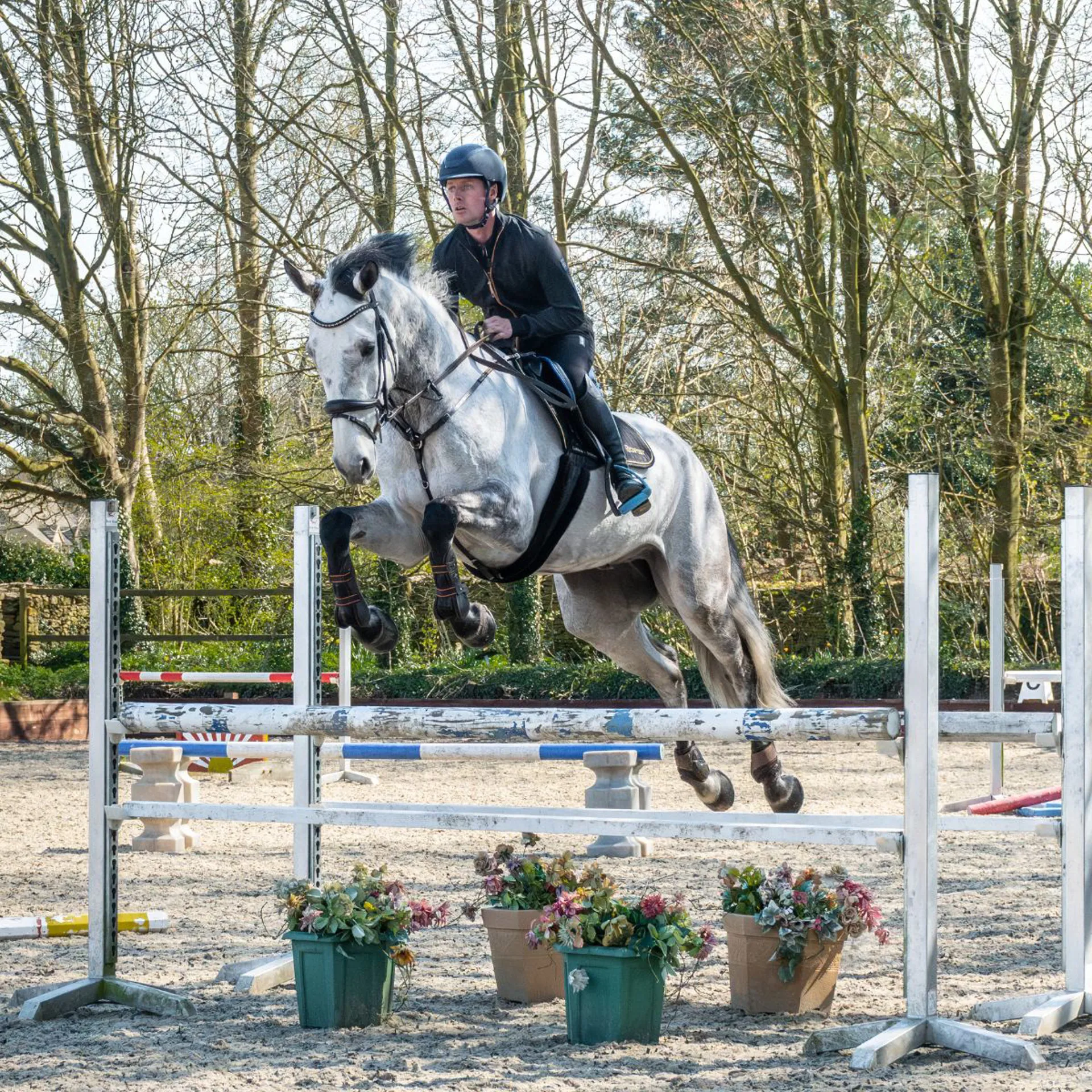 Cameron Beer - Showjumping - Schooling