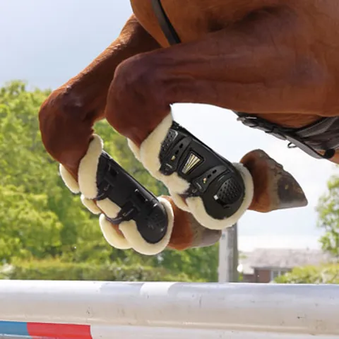 ARMA Horse Boots by Shires