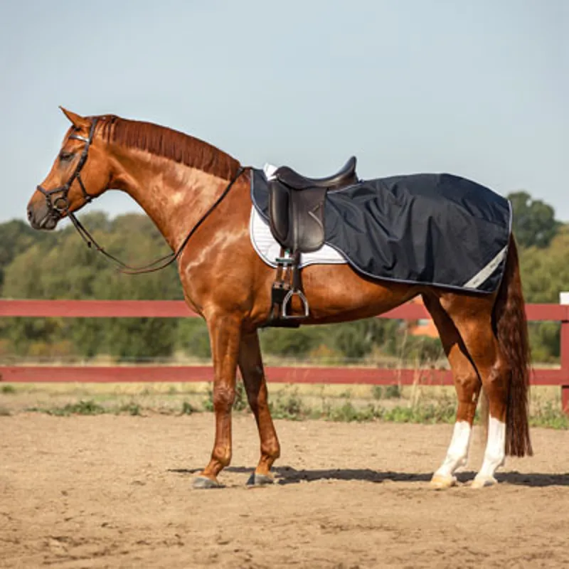 Excerice Sheet Rug Exercise Rugs | Horse Rugs | Redpost Equestrian