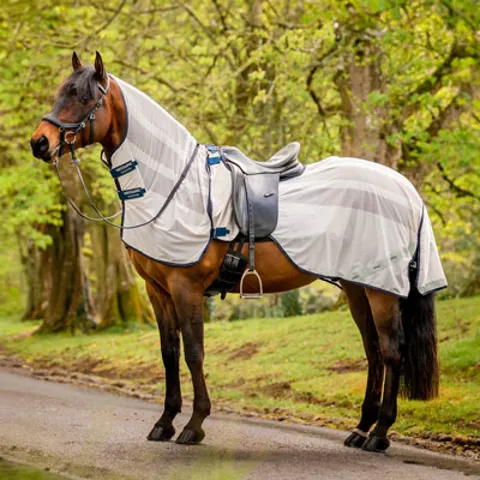 Mesh Exercise Rugs