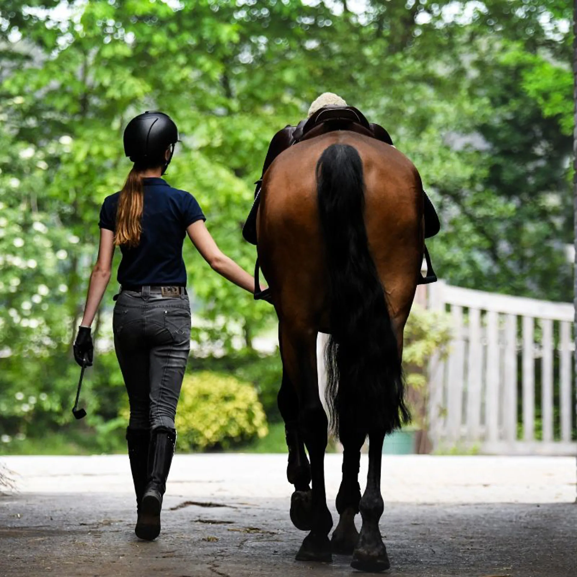 Equestrian and Horse showcasing Dever Saddlery