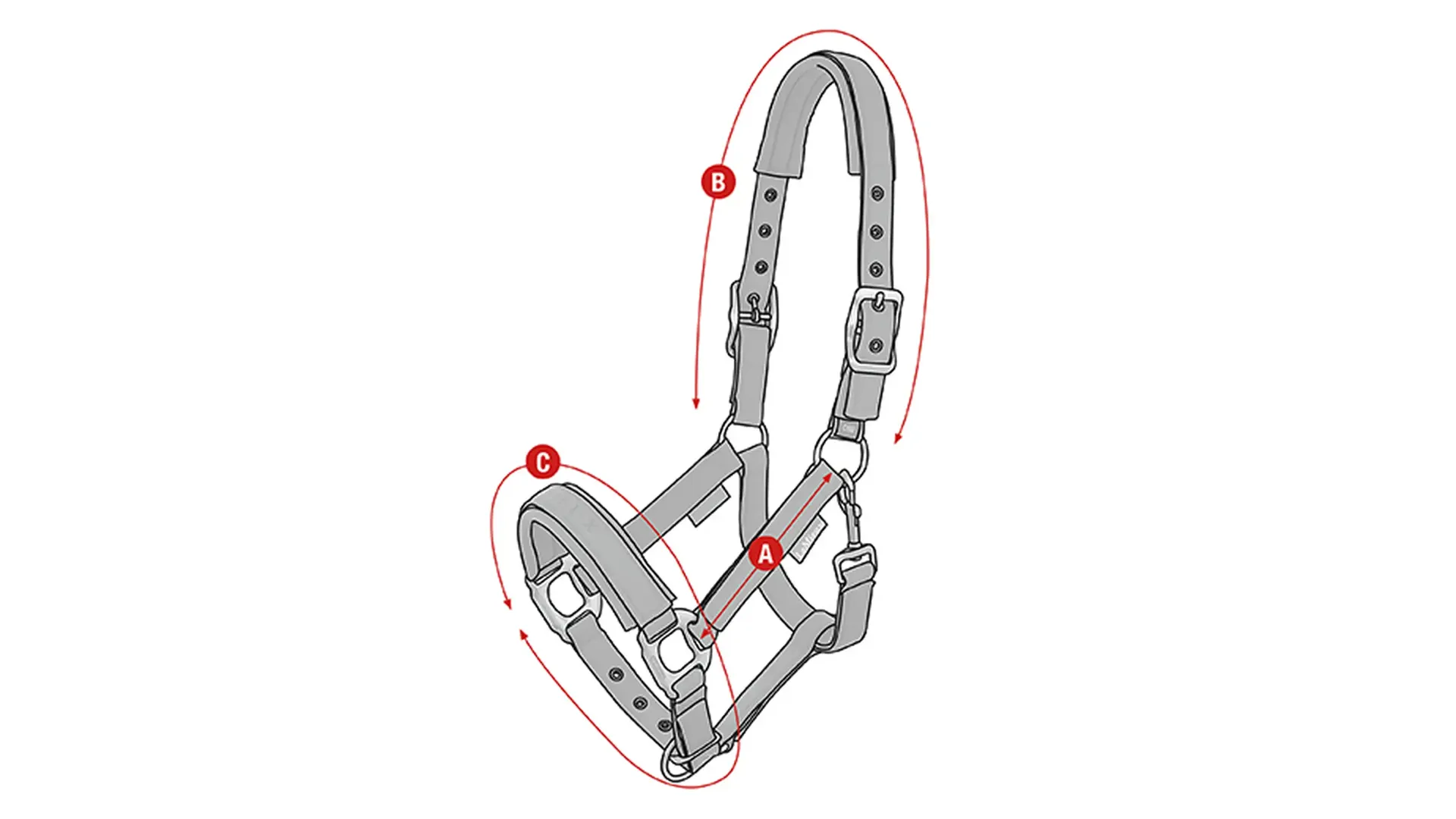 Essence Headcollar Size