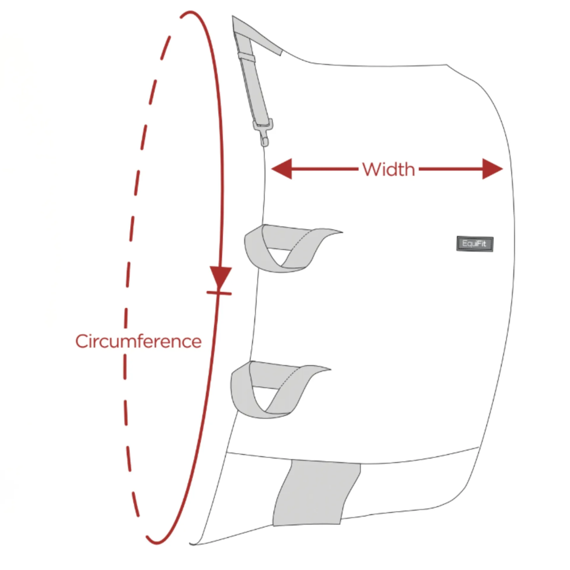 Equifit Belly Band Size Guide