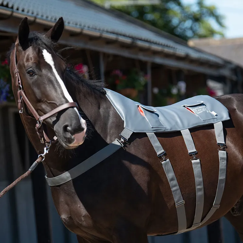 Equilibrium Massage Pad