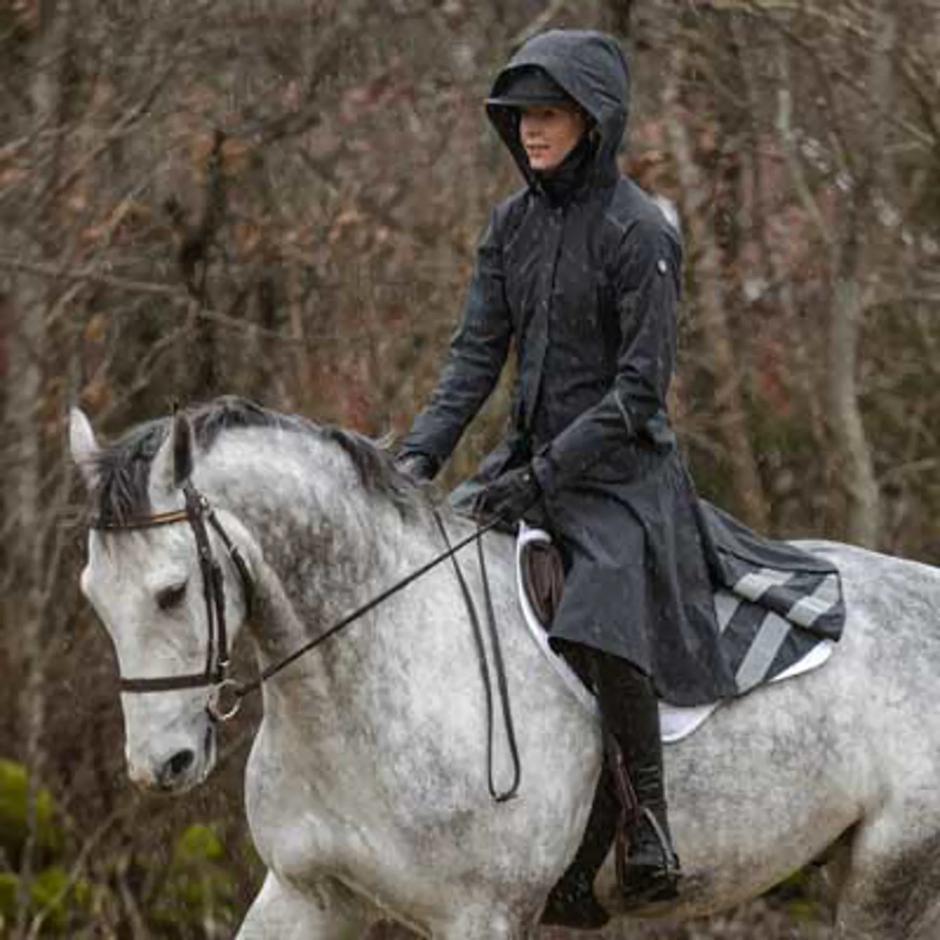 Dressage rider in black tailcoat and white stock tie