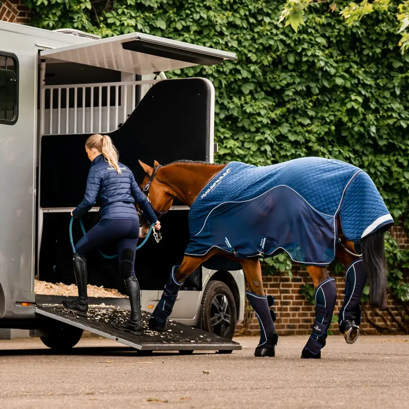 Horse Travel Essentials