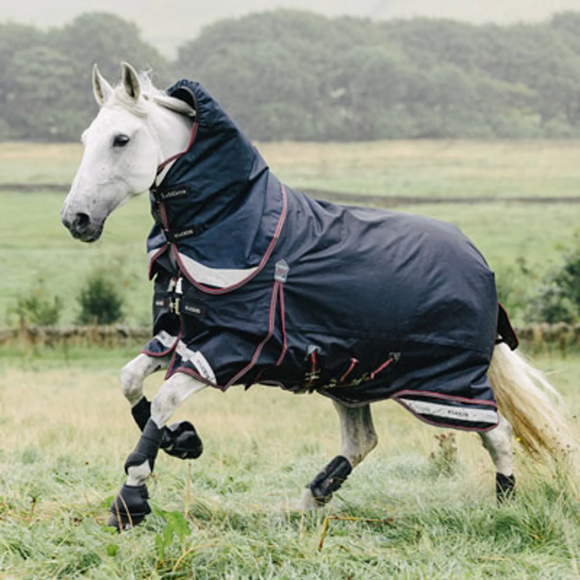 LeMieux Rugs