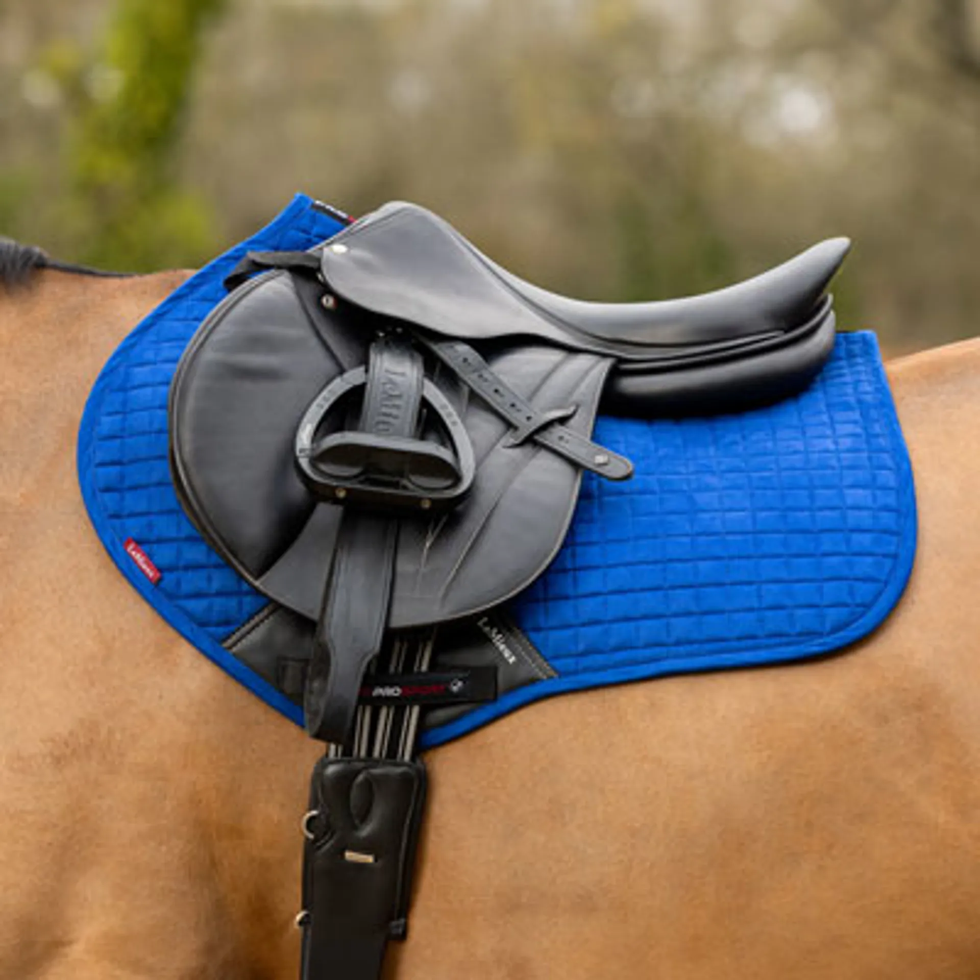 LeMieux Saddlepads