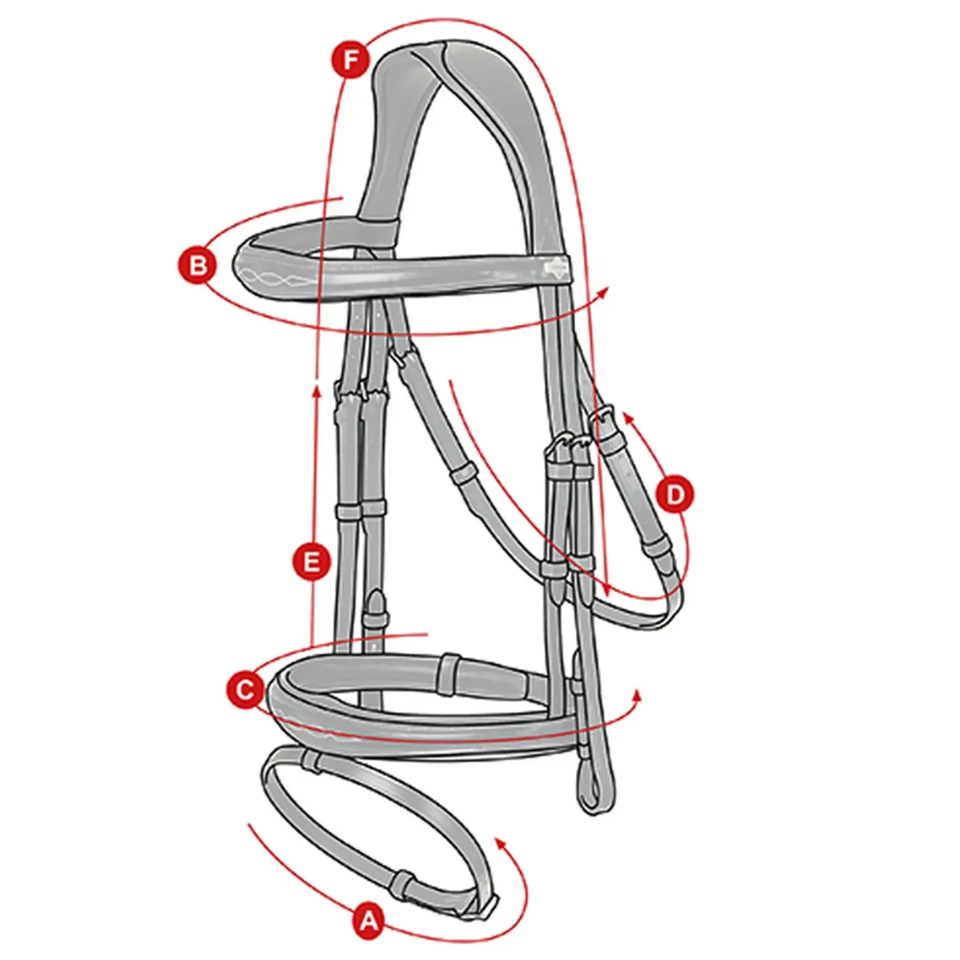 Lemieux flash bridle size guide