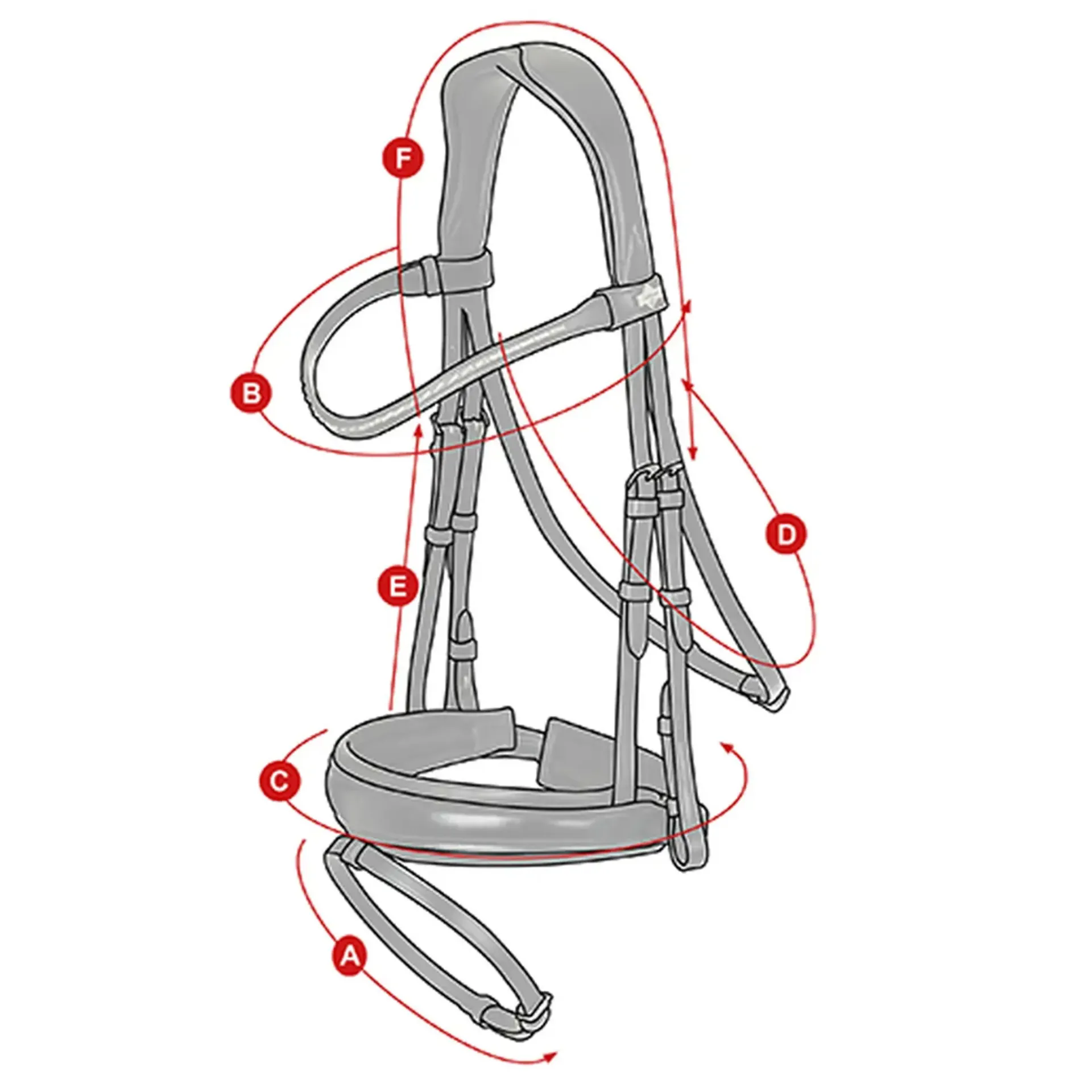 Lemieux kudos dressage bridle size guide