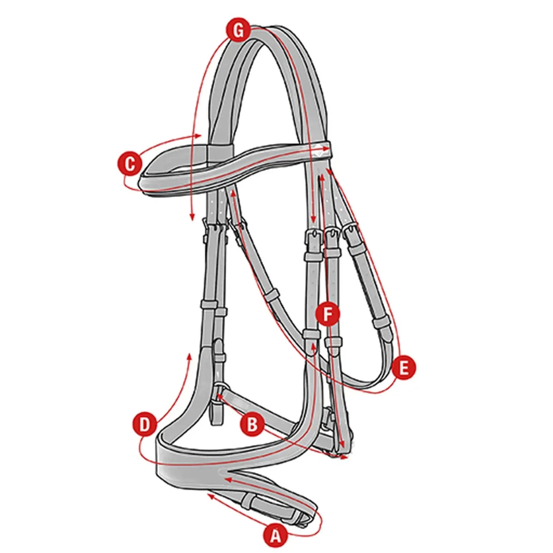 Lemieux split noseband size guide