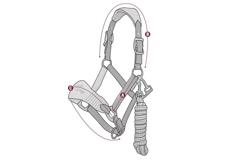 LeMieux Vogue Headcollar Size Guide