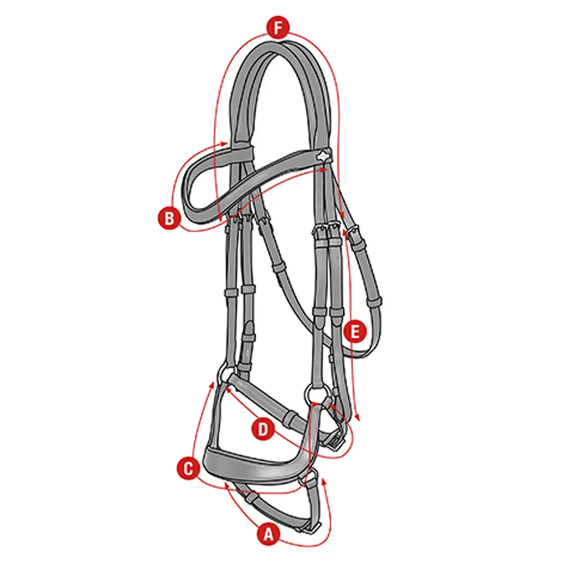 Lemieux Arika Drop Bridle