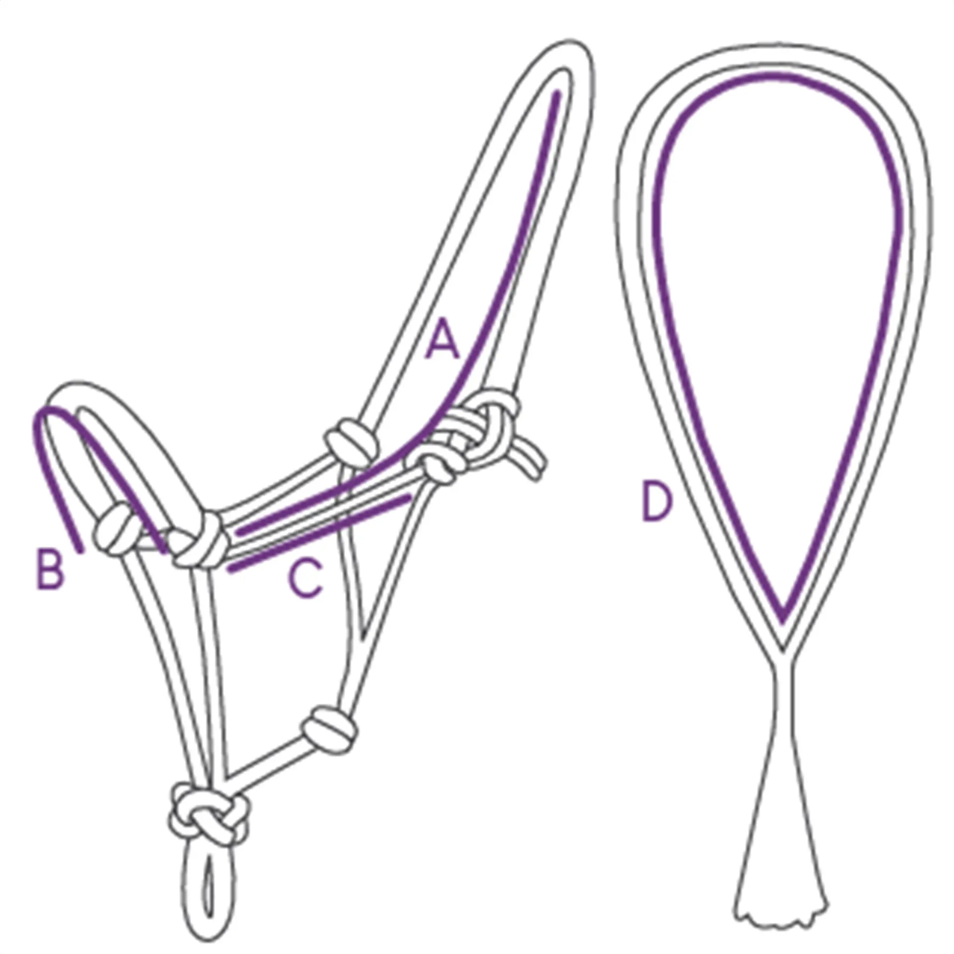 QHP liberty headcollar size guide