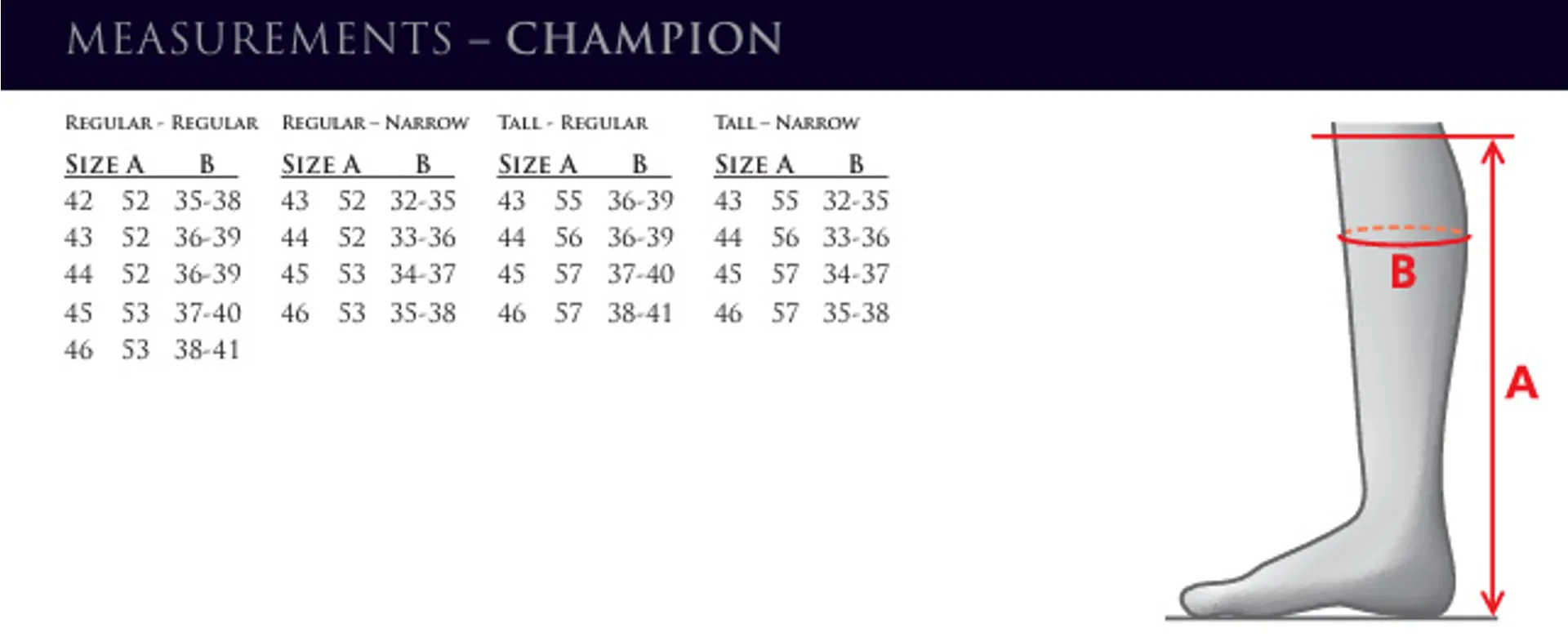 Mountain Horse Champion Long Boots