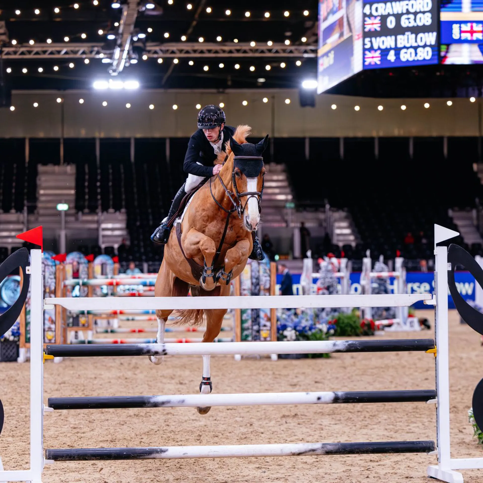 Oliver Tuff Sacino Showjumper HOYS