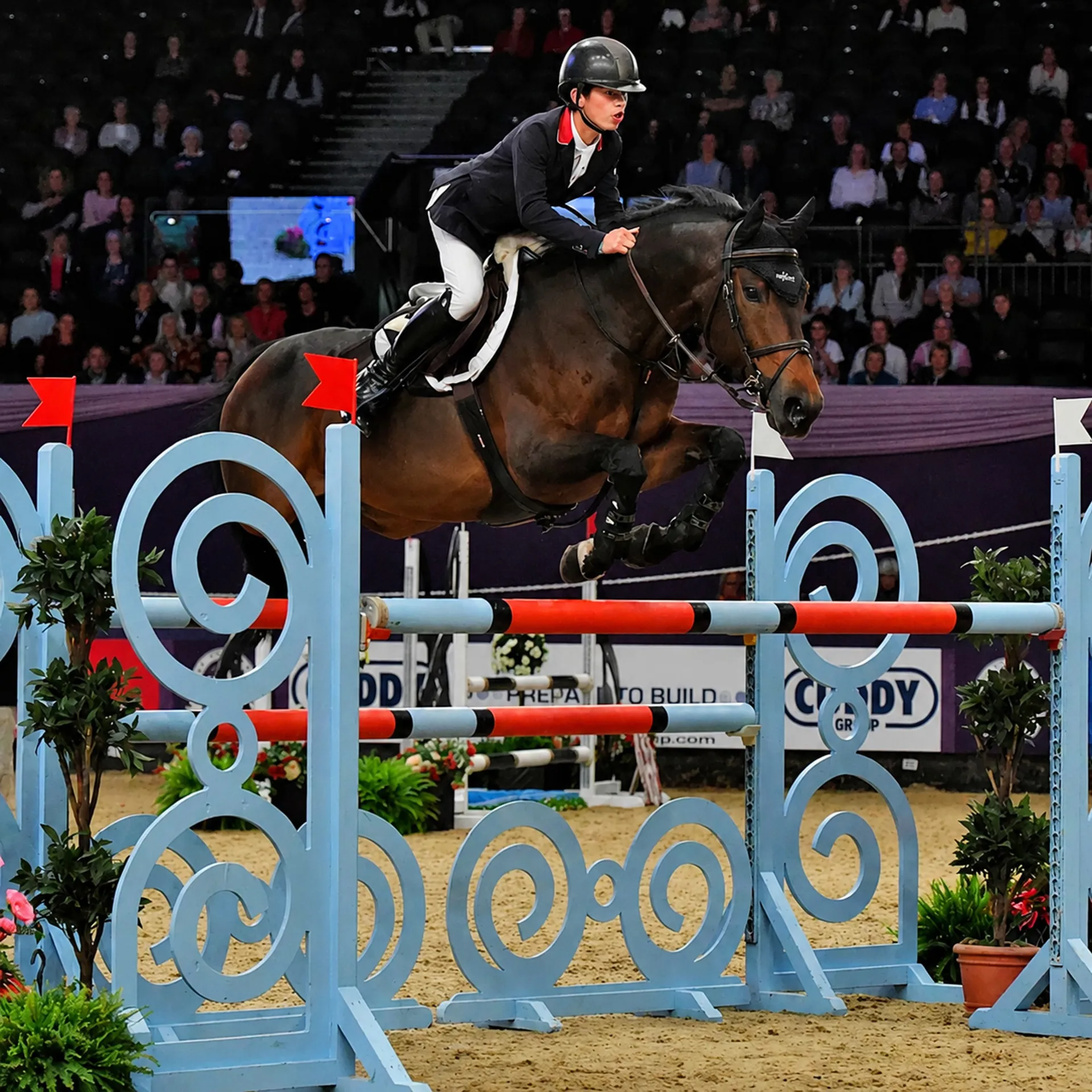 Oliver Tuff Darino B Showjumping HOYS