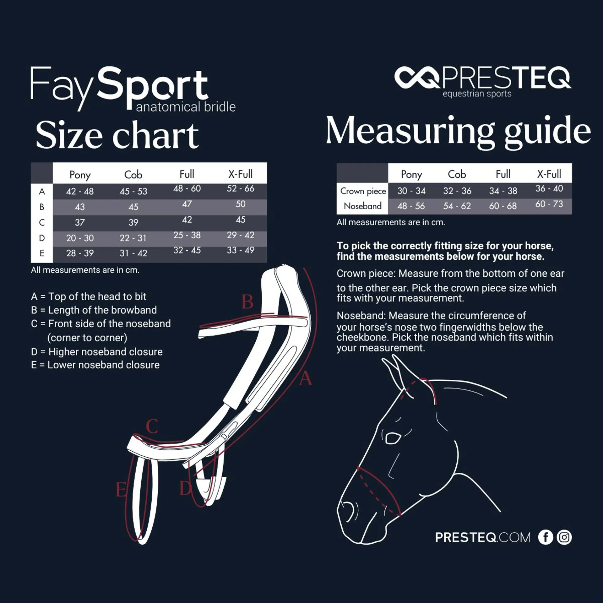 PresTEQ FaySport Anatomical Bridle Size Guide