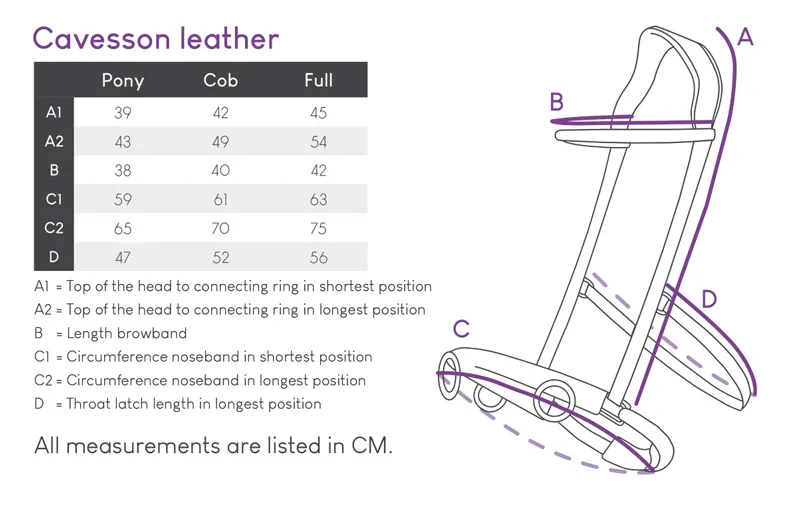 QHP Leather Cavesson Size Guide