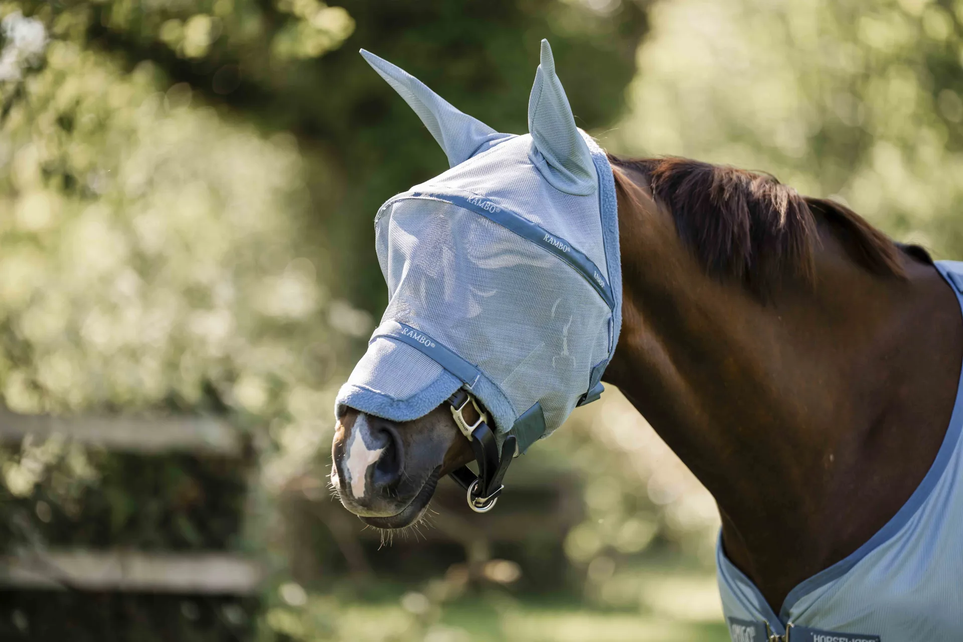 rambo plus fly mask heather blue blue silver which fly mask blog