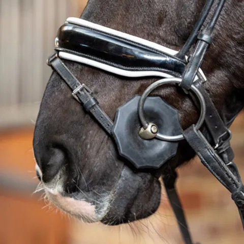Horse Bit Accessories