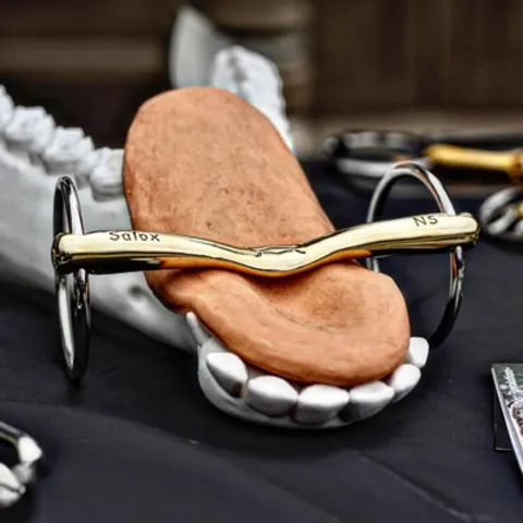 Neue Schule Horse Bits