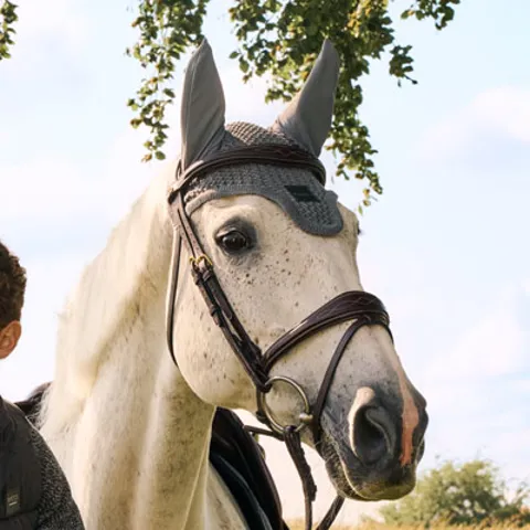 BOSS Equestrian Horse Collection