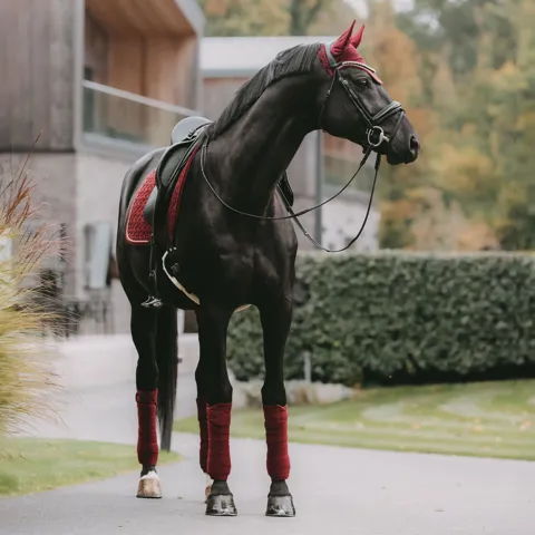 Kentucky Horsewear
