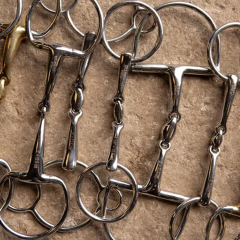 Stubben Horse Bits