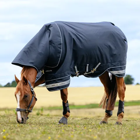 LeMieux Horse Rugs