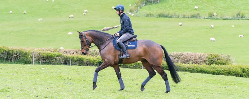 Inspired by Harry Meade