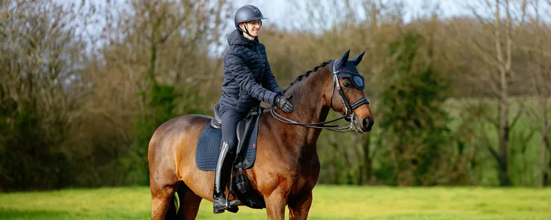 LeMieux Navy Collection