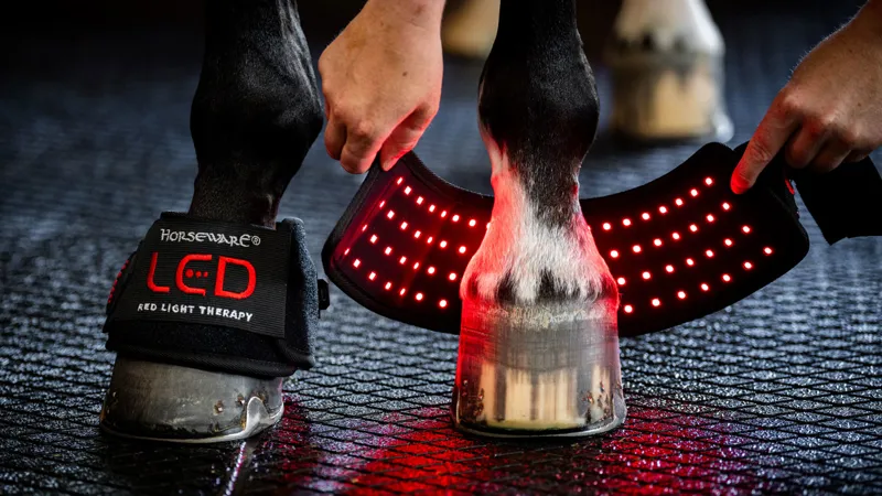 Horseware Therapy Ranges