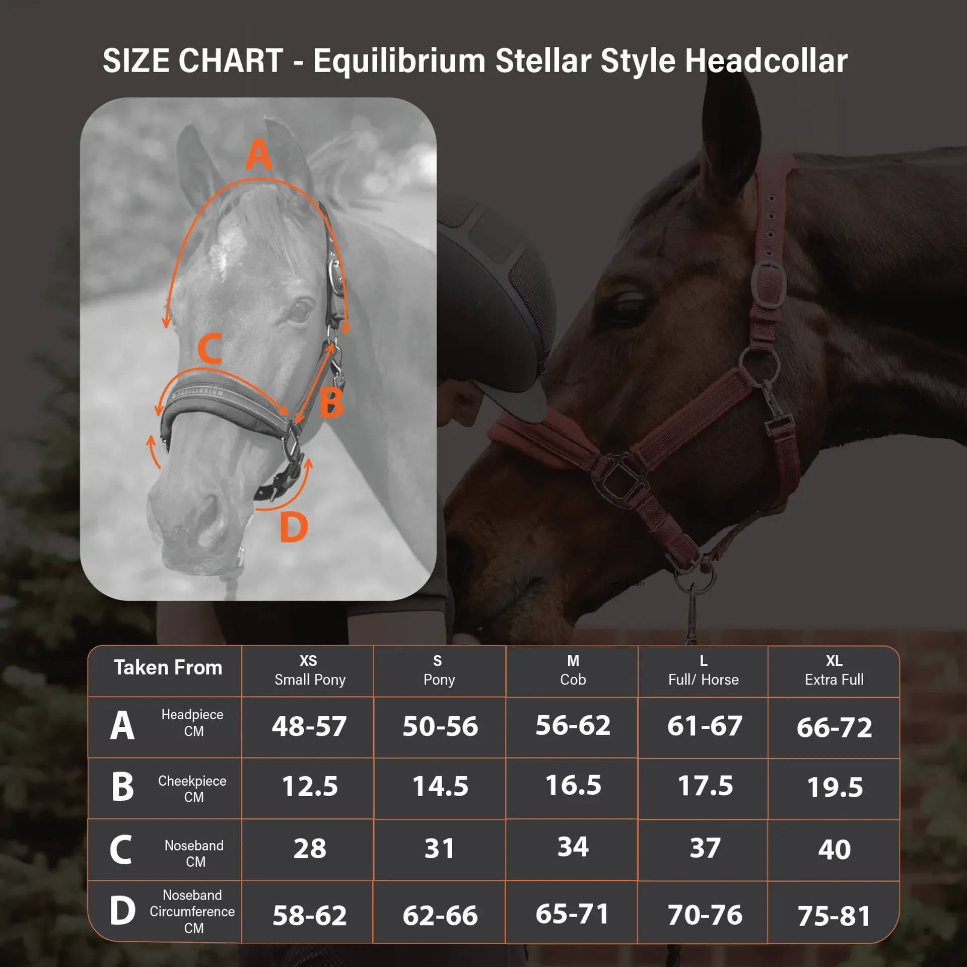 Stellar Style Headcollar Sizing