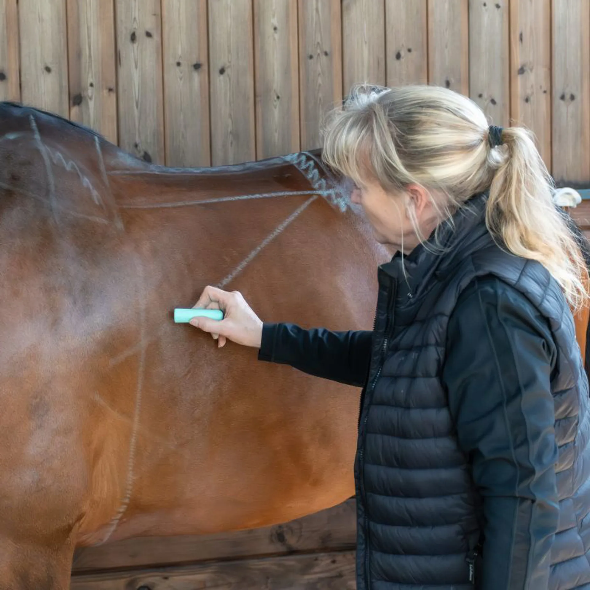 Saddle fitter marking horse during fitting service