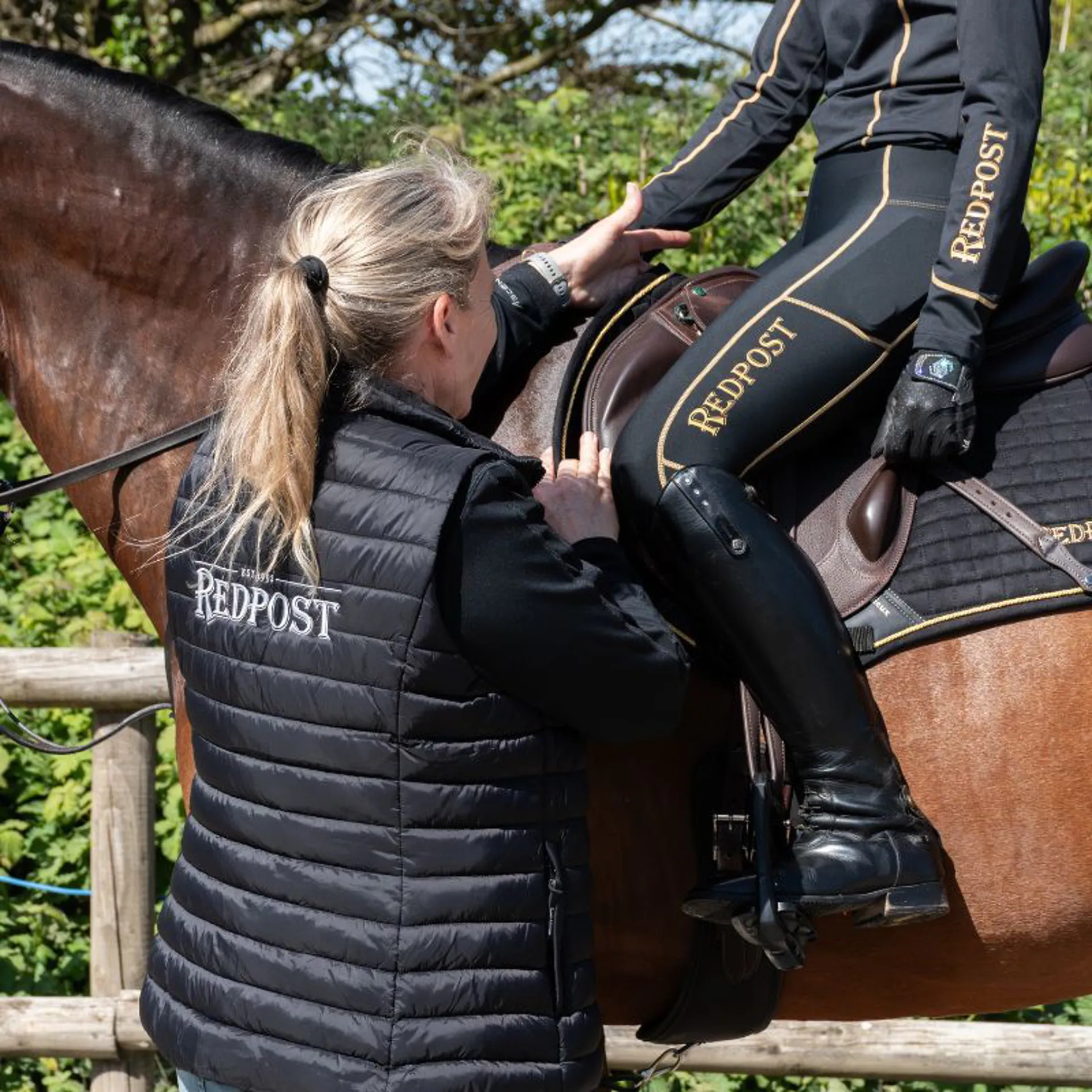 A professional Saddle Fitting