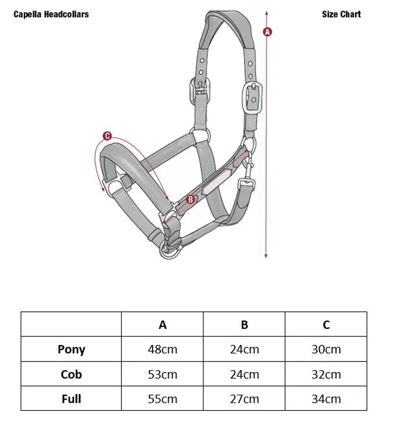 Lemieux Capella Headcollar Size Guide