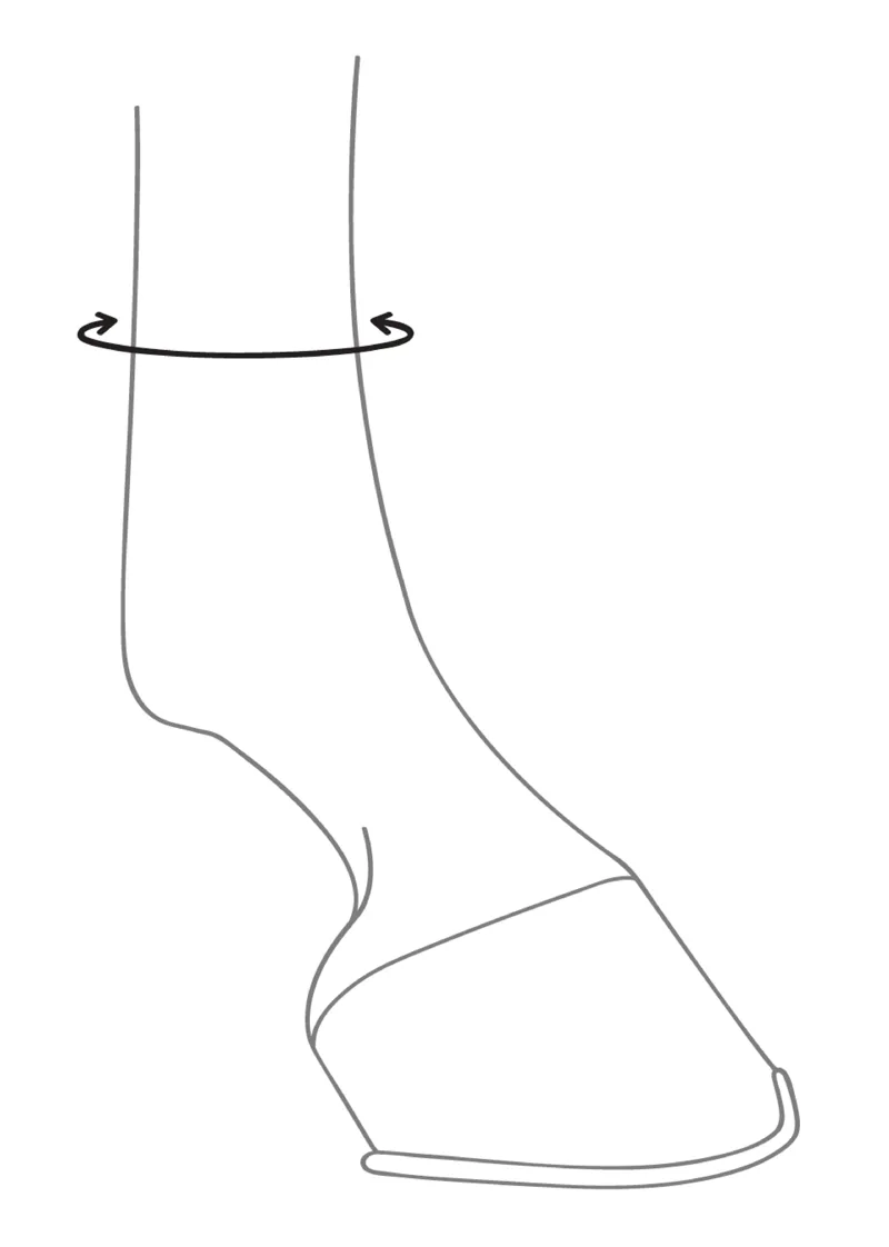 Veredus Front Boot Sizing