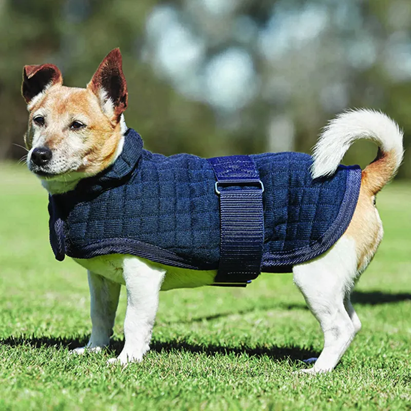 Weatherbeeta Thermocell Dog Coat” style= Weatherbeeta Thermocell Dog Coat