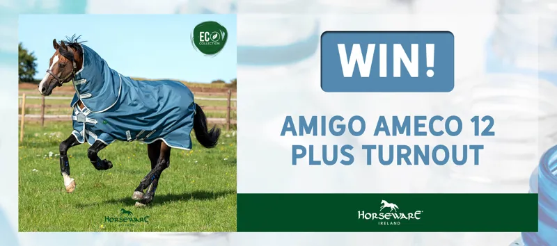 Amigo AmEco Rug Amigo AmEco Rug