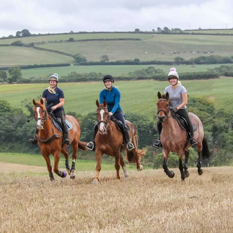 Redpost staff on horses