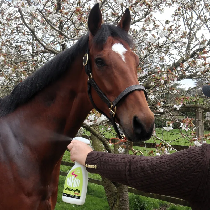 NAF OFF Citronella Spray-1