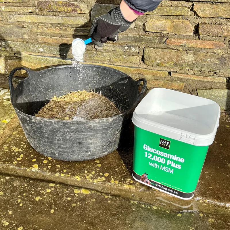 NAF Glucosamine 12 000 Plus with MSM-1