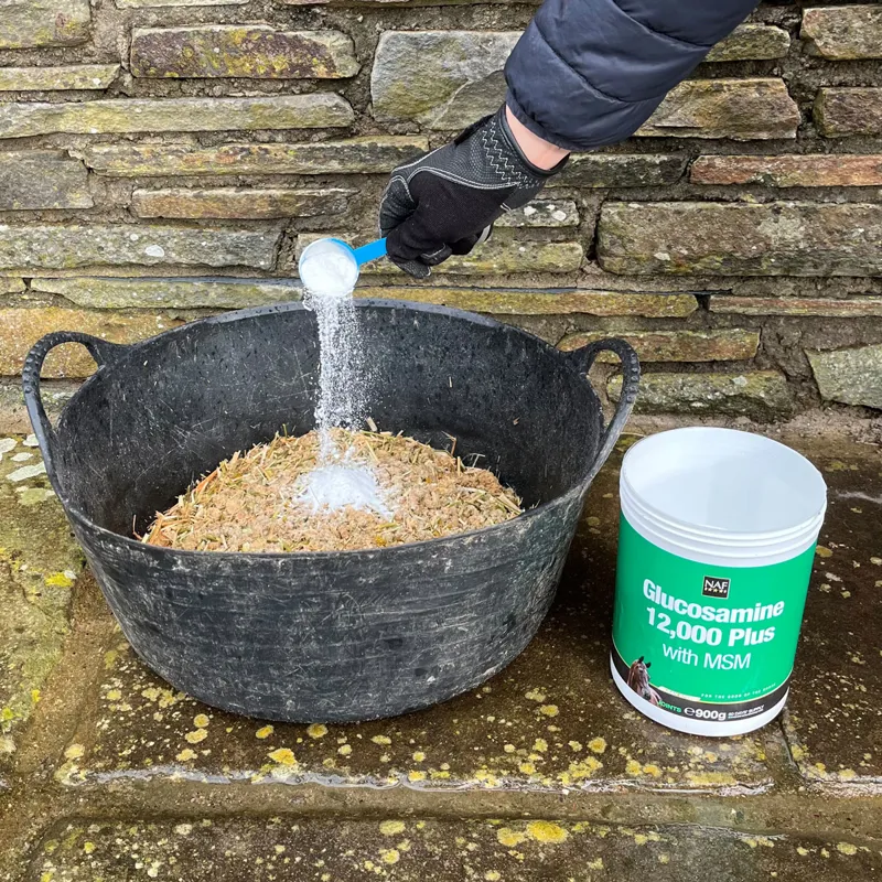 NAF Glucosamine 12 000 Plus with MSM-2