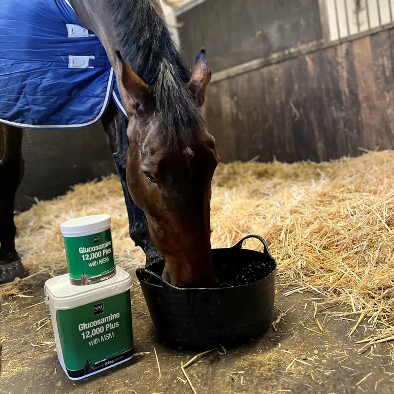 NAF Glucosamine 12 000 Plus with MSM-3