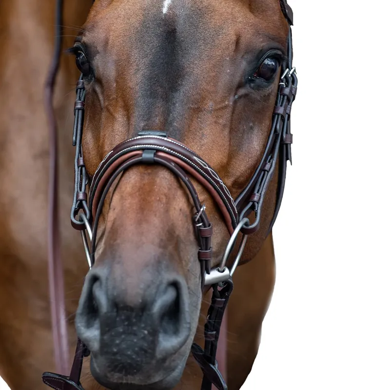 Equiline NB0449 Fancy Stitch with Removable Flash Noseband - Brown-2