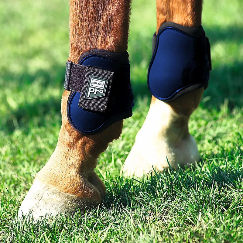 Norton pro tendon clearance boots