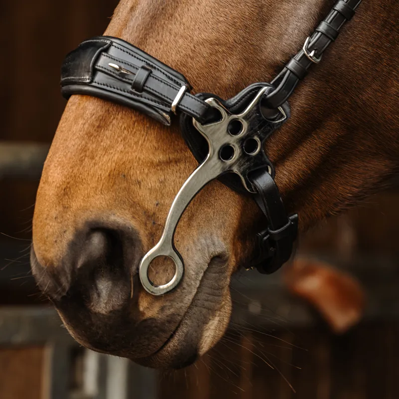 Norton Pro Hackamore Bridle - Black-1