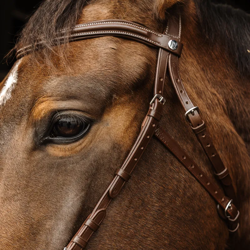 Norton Pro Hackamore Bridle - Havana-3