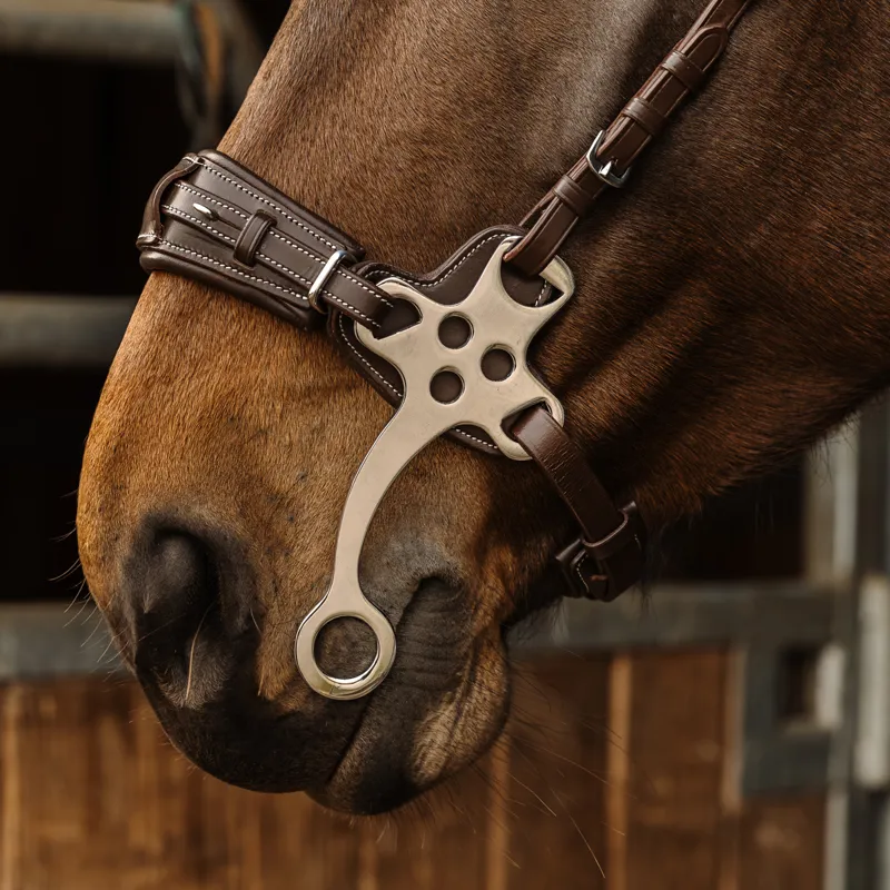 Norton Pro Hackamore Bridle - Havana-2